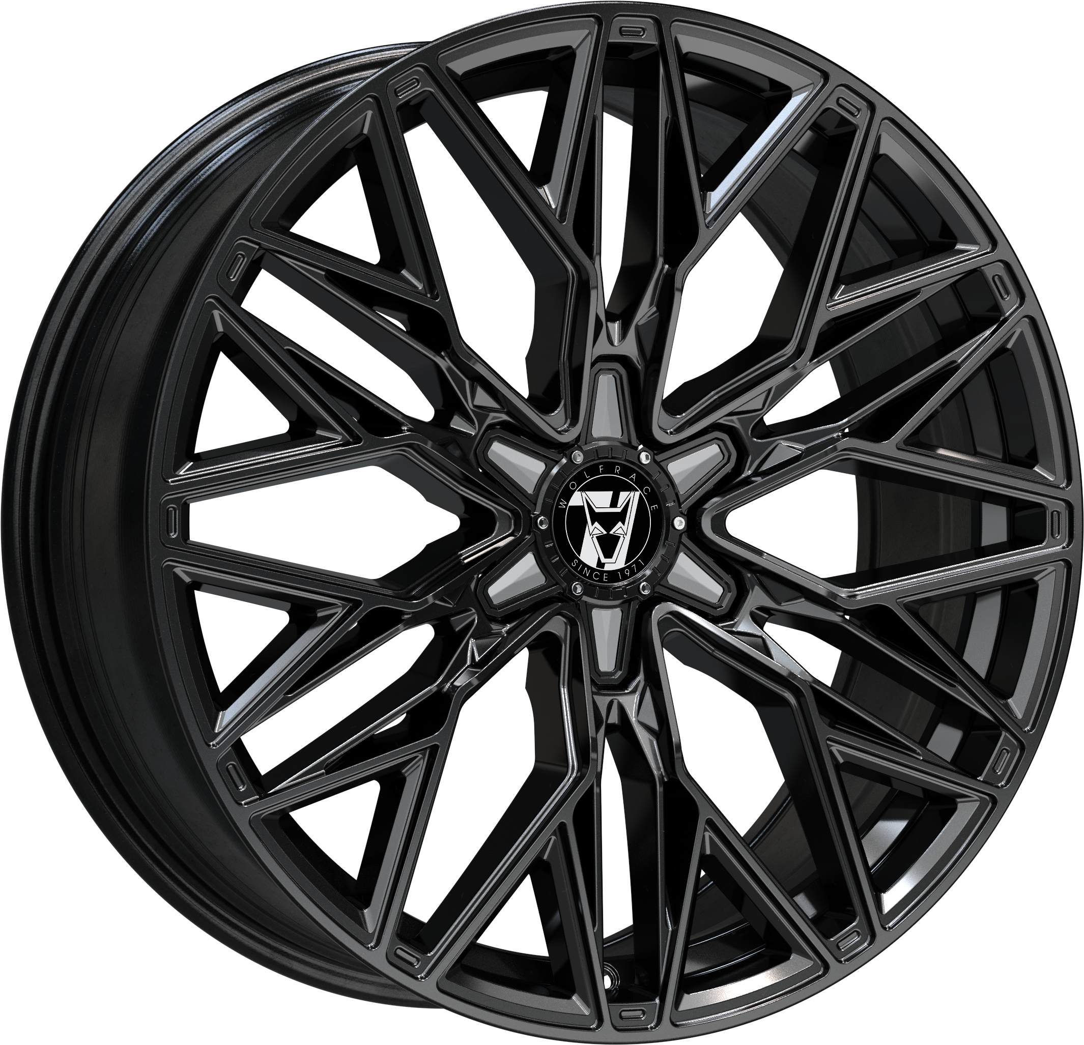 Gloss Raven Black