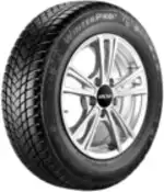 1955015HBUGTWT2