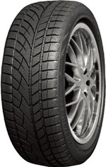 225/45R17 ROADX RXFROST WU01 91V M+S